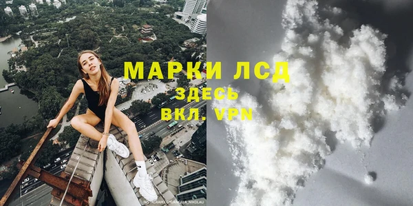 дмт Алзамай
