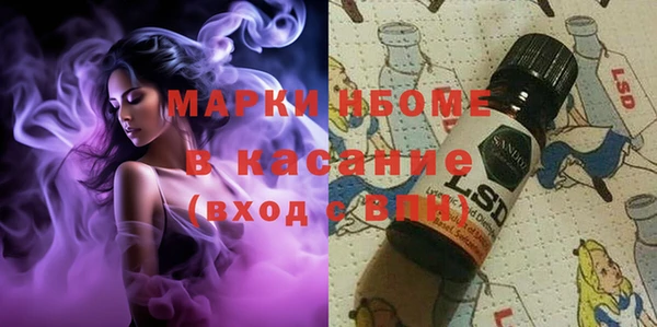 дмт Алзамай