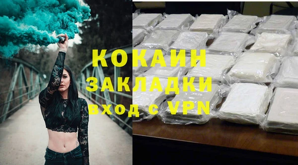дмт Алзамай