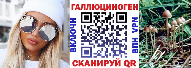 Псилоцибиновые грибы ЛСД  где купить   Мураши 